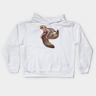 Cozy Anurognathus Kids Hoodie